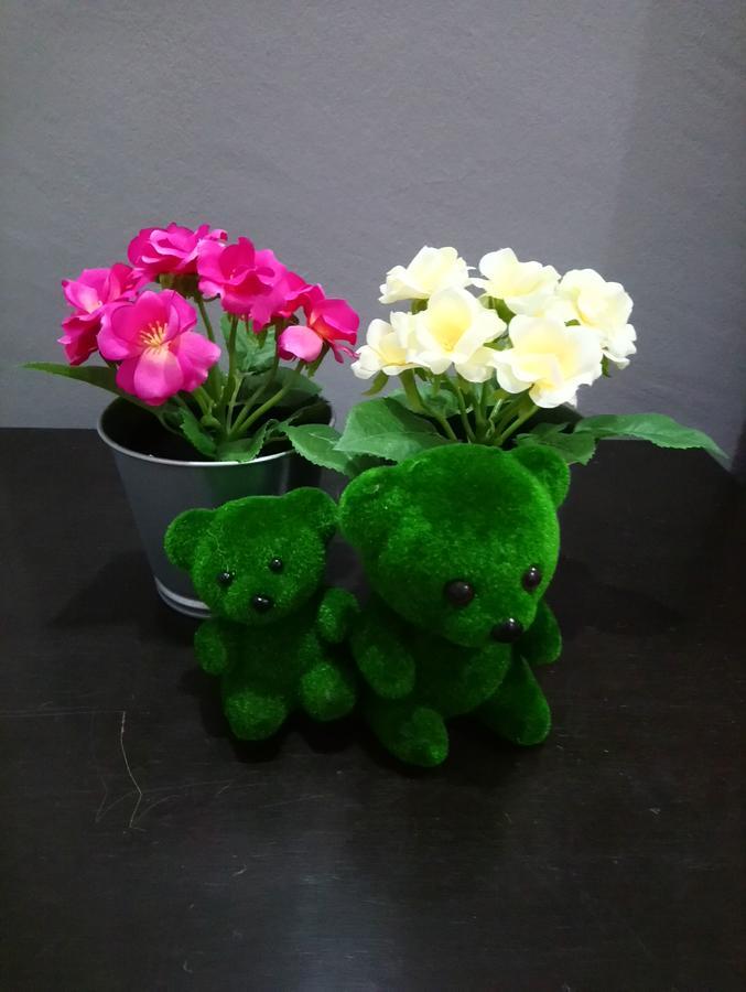 Jb Homestay Bukit Indah Wifi Ciq Mall Legoland Free Parking Johor Bahru Exterior foto